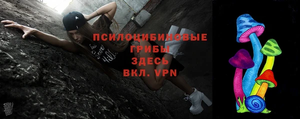 гашик Абаза