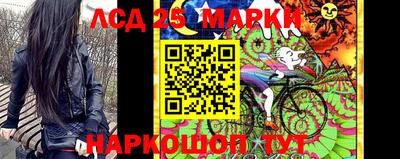 ALPHA-PVP Камышлов