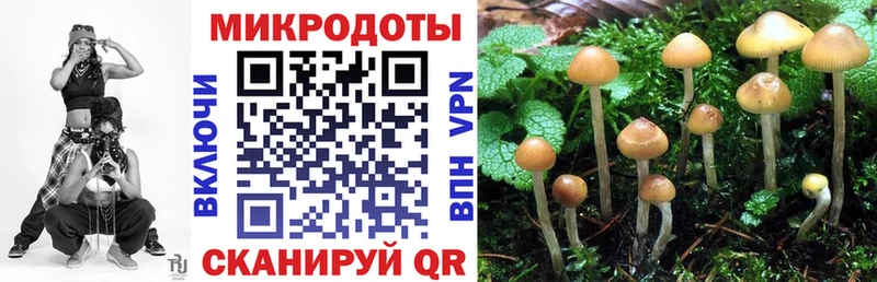 где найти наркотики  Магнитогорск  Псилоцибиновые грибы MAGIC MUSHROOMS 